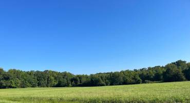 610 HOLLAND CREEK RD, LOUISA, Virginia 23093, ,Land,For sale,610 HOLLAND CREEK RD,VALA2004254 MLS # VALA2004254