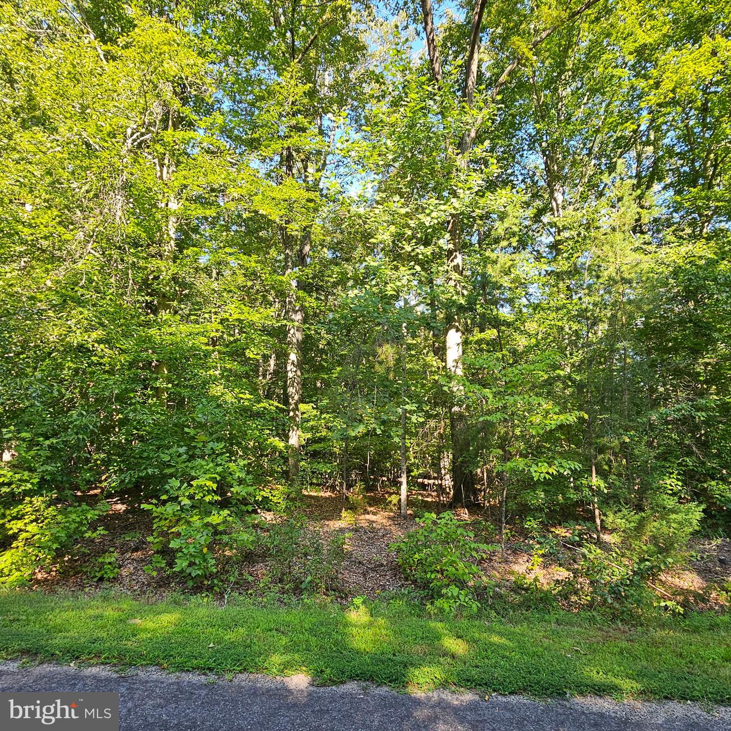 6200 BILLS RD, MINERAL, Virginia 23117, ,Land,For sale,6200 BILLS RD,VASP2027298 MLS # VASP2027298