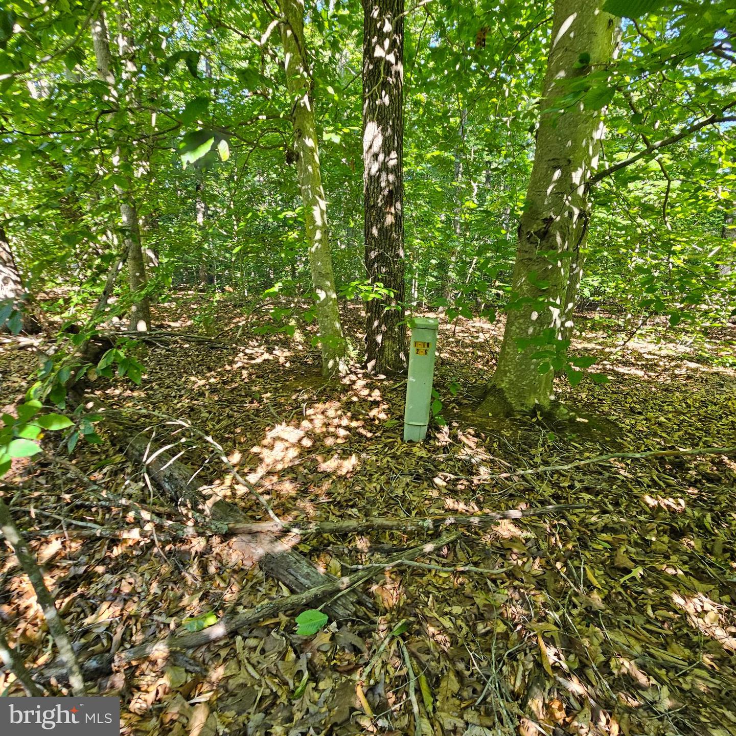 6200 BILLS RD, MINERAL, Virginia 23117, ,Land,For sale,6200 BILLS RD,VASP2027298 MLS # VASP2027298