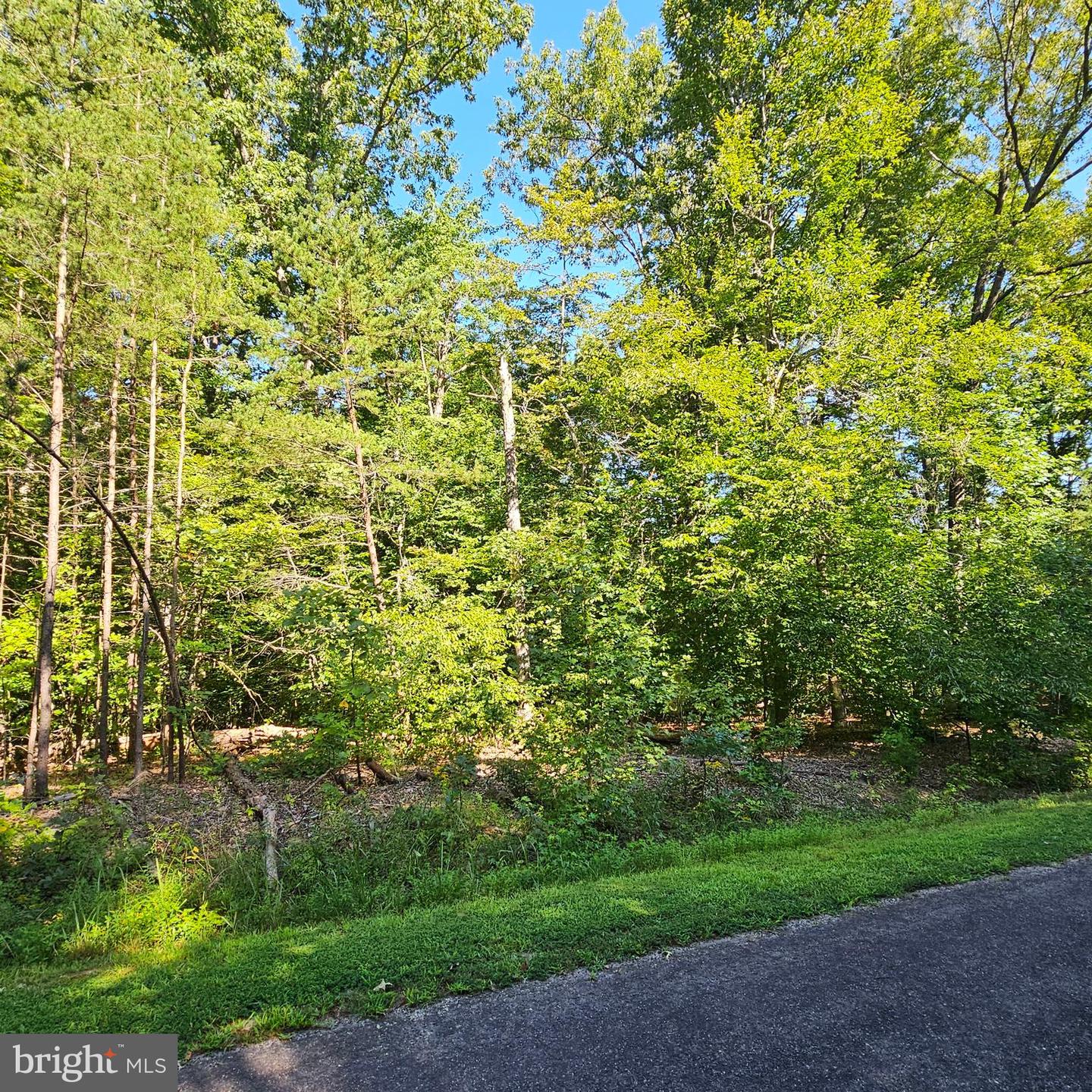 6202 BILLS RD, MINERAL, Virginia 23117, ,Land,For sale,6202 BILLS RD,VASP2027300 MLS # VASP2027300