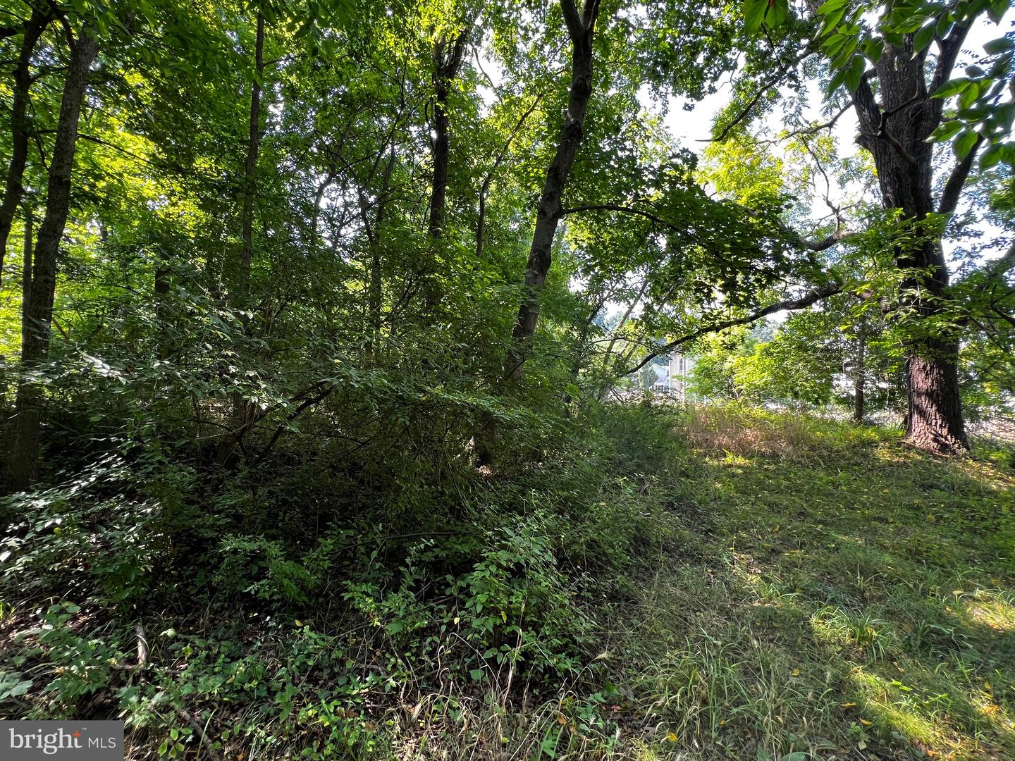 E MAIN, BOYCE, Virginia 22620, ,Land,For sale,E MAIN,VACL2002988 MLS # VACL2002988