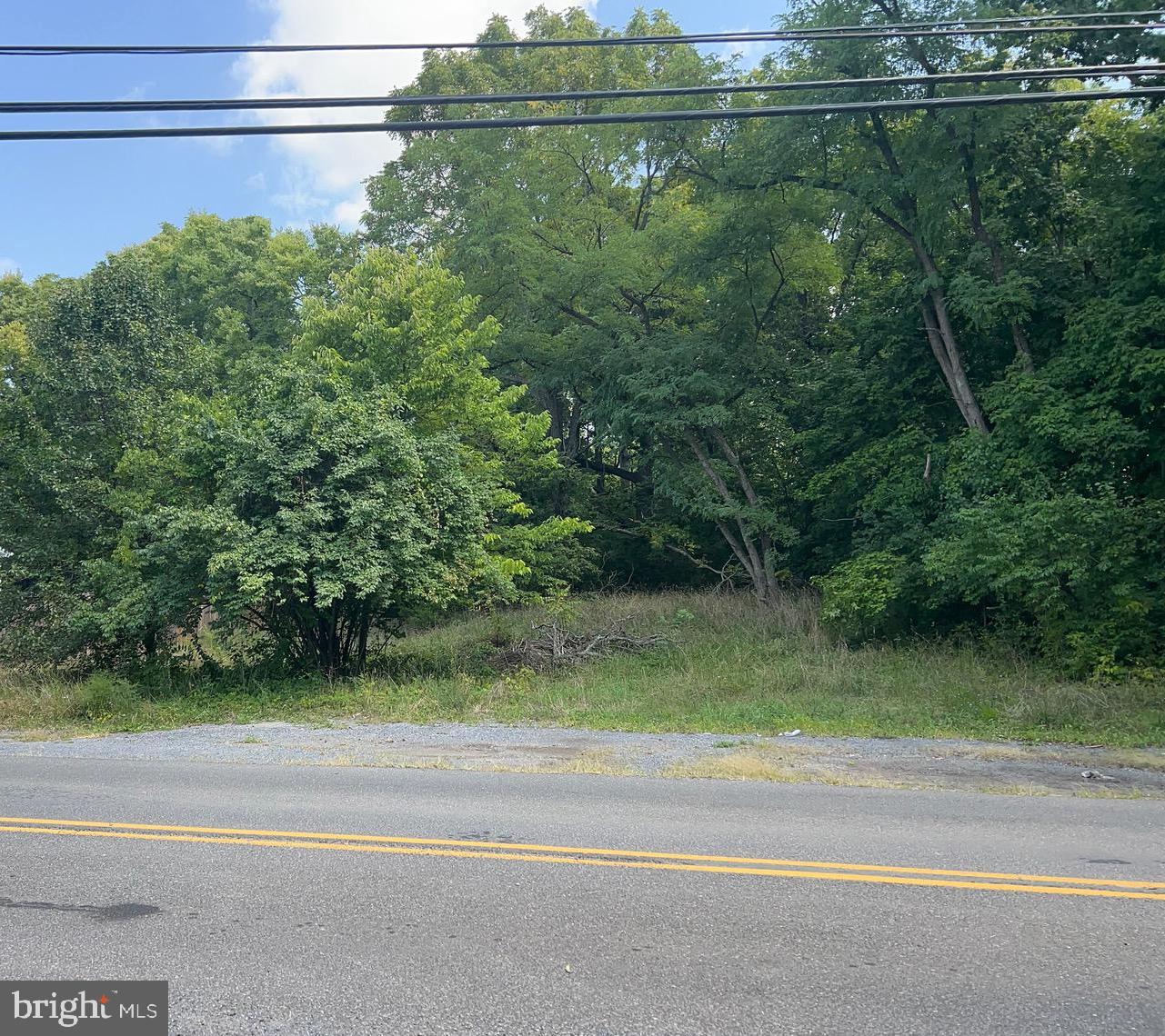 E MAIN, BOYCE, Virginia 22620, ,Land,For sale,E MAIN,VACL2002988 MLS # VACL2002988