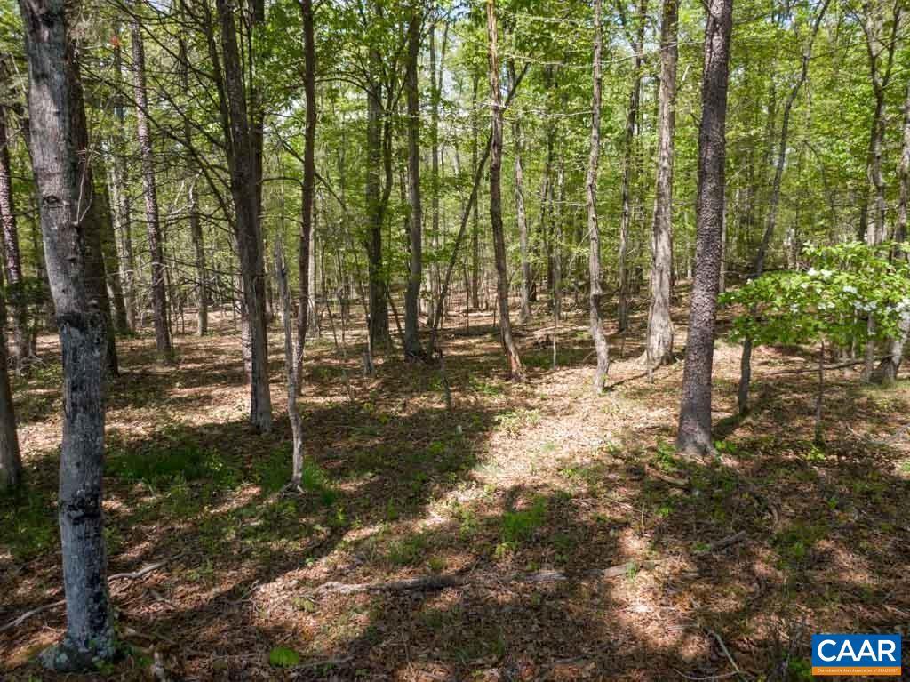 LOT 12 HARVEST LN, BARBOURSVILLE, Virginia 22923, ,Land,For sale,LOT 12 HARVEST LN,656357 MLS # 656357