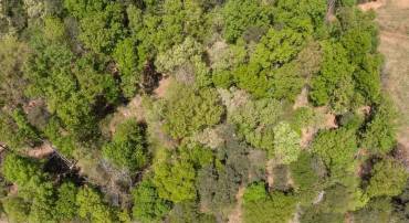 LOT 12 HARVEST LN, BARBOURSVILLE, Virginia 22923, ,Land,For sale,LOT 12 HARVEST LN,656357 MLS # 656357