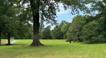 2561 PATTIE RD, BUCKINGHAM, Virginia 23921, ,Land,For sale,2561 PATTIE RD,656385 MLS # 656385