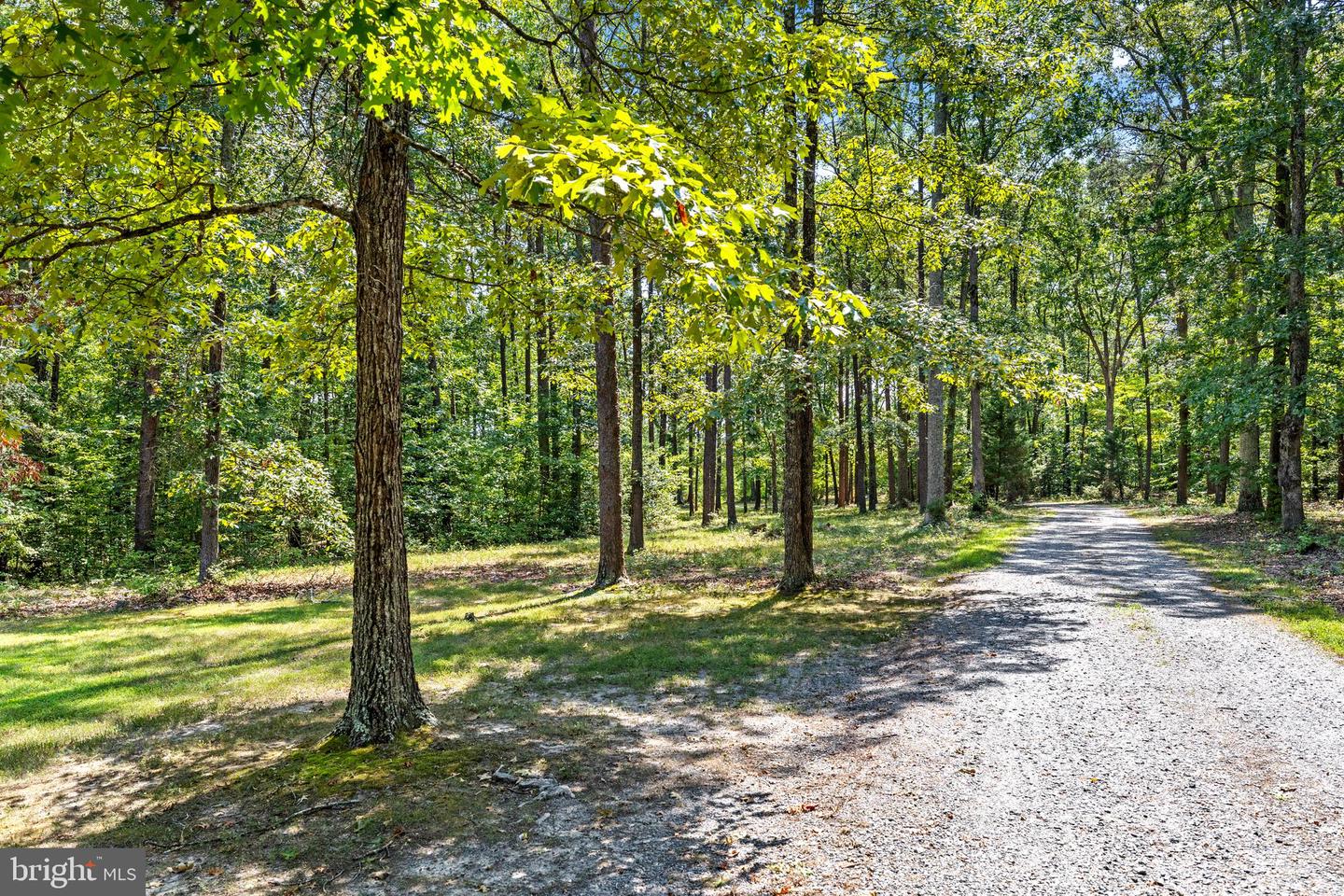 4559 INDIAN CREEK RD, MINERAL, Virginia 23117, 3 Bedrooms Bedrooms, 10 Rooms Rooms,2 BathroomsBathrooms,Residential,For sale,4559 INDIAN CREEK RD,VALA2006296 MLS # VALA2006296