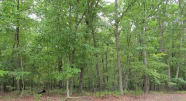 00 KENDALL RD, ORANGE, Virginia 22960, ,Land,For sale,00 KENDALL RD,VAOR2007860 MLS # VAOR2007860