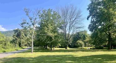 NEWTOWN RD, GREENWOOD, Virginia 22943, ,Land,For sale,NEWTOWN RD,656420 MLS # 656420