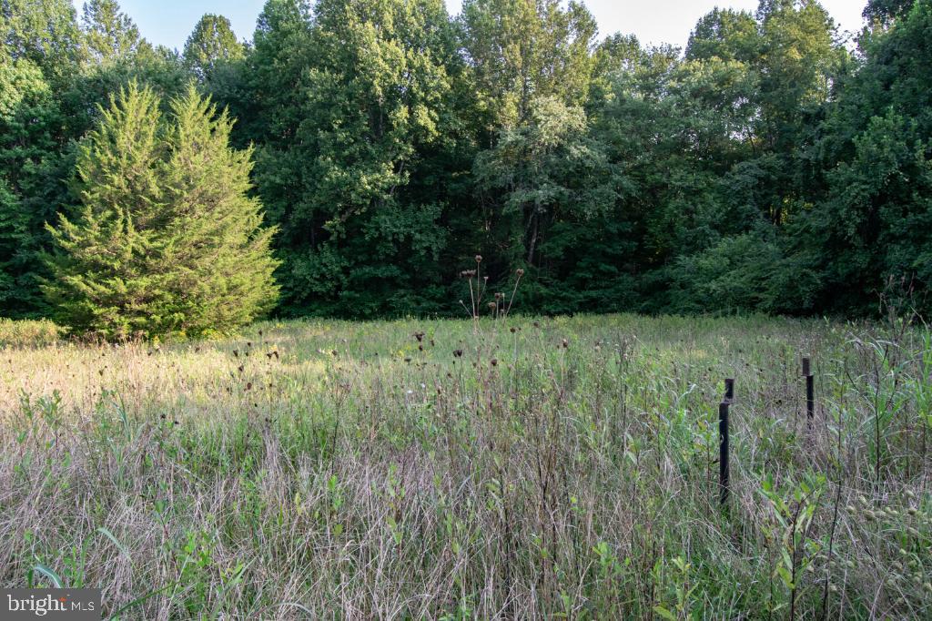 1950 BROAD STREET RD, MAIDENS, Virginia 23102, ,Land,For sale,1950 BROAD STREET RD,VAGO2000268 MLS # VAGO2000268