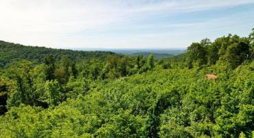 1 JENKINS LANE, BLUEMONT, Virginia 20135, ,Land,For sale,1 JENKINS LANE,VACL2002806 MLS # VACL2002806