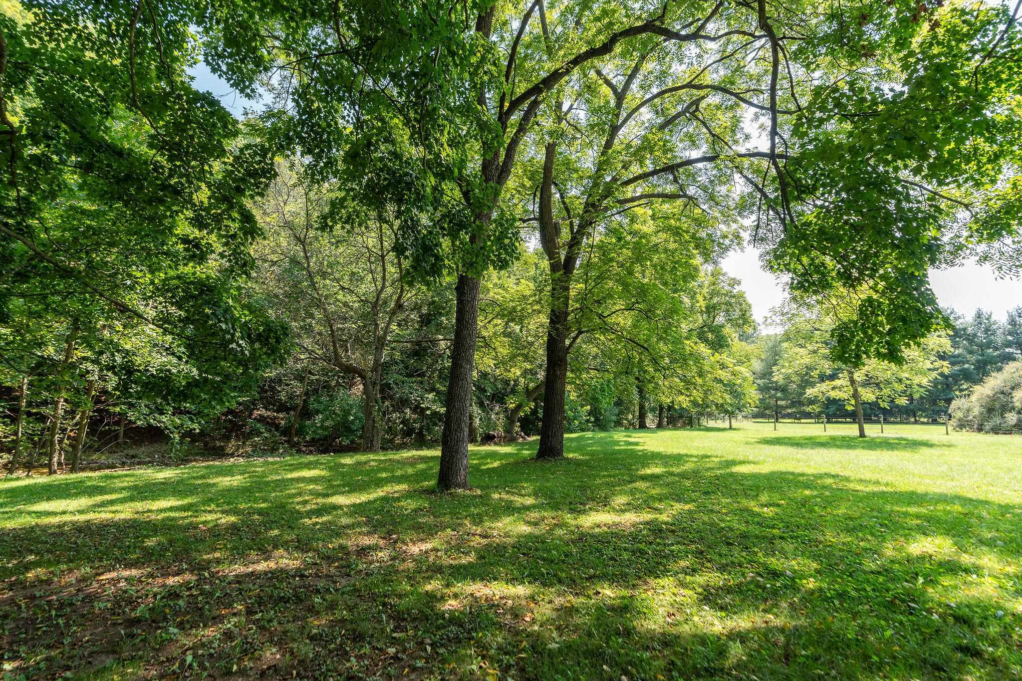 TBD HANKEY MOUNTAIN HWY, CHURCHVILLE, Virginia 24421, ,Land,TBD HANKEY MOUNTAIN HWY,656456 MLS # 656456