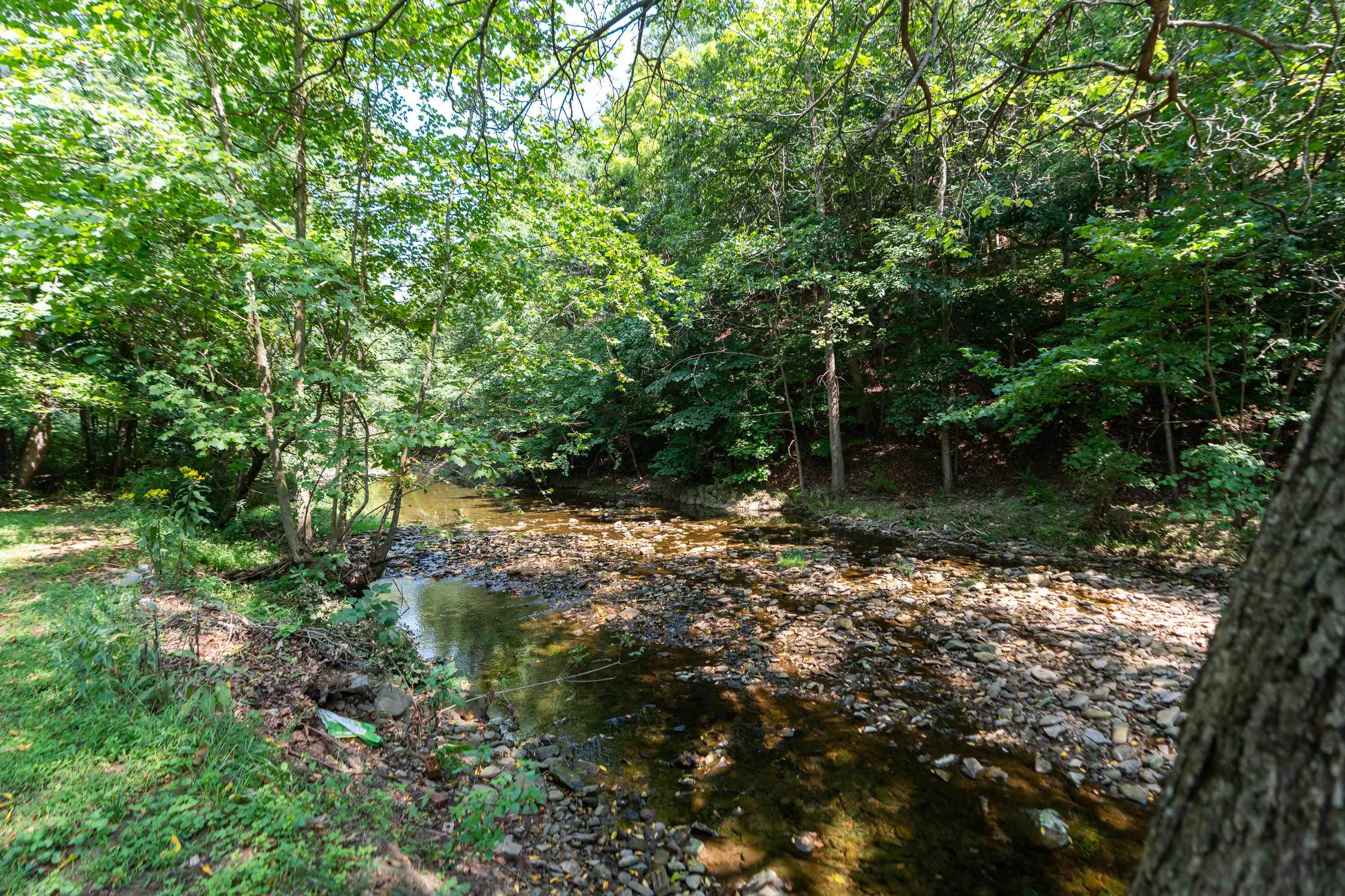 TBD HANKEY MOUNTAIN HWY, CHURCHVILLE, Virginia 24421, ,Land,TBD HANKEY MOUNTAIN HWY,656456 MLS # 656456