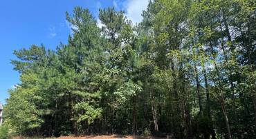 0 FIRE EATER CT, MINERAL, Virginia 23117, ,Land,For sale,0 FIRE EATER CT,VALA2006324 MLS # VALA2006324