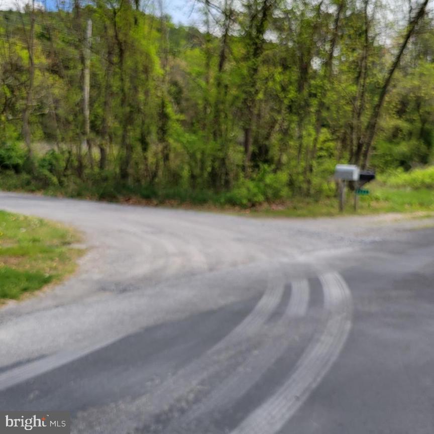 0, LURAY, Virginia 22835, ,Land,For sale,VAPA2003486 MLS # VAPA2003486