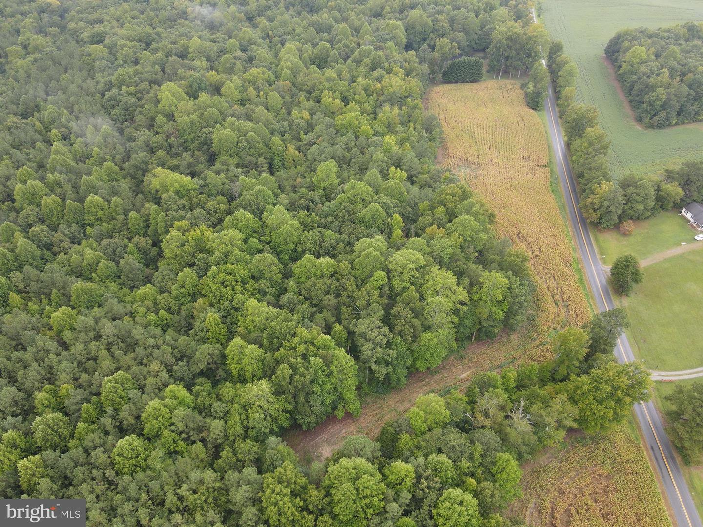 SPARTA RD, MILFORD, Virginia 22514, ,Land,For sale,SPARTA RD,VACV2006442 MLS # VACV2006442