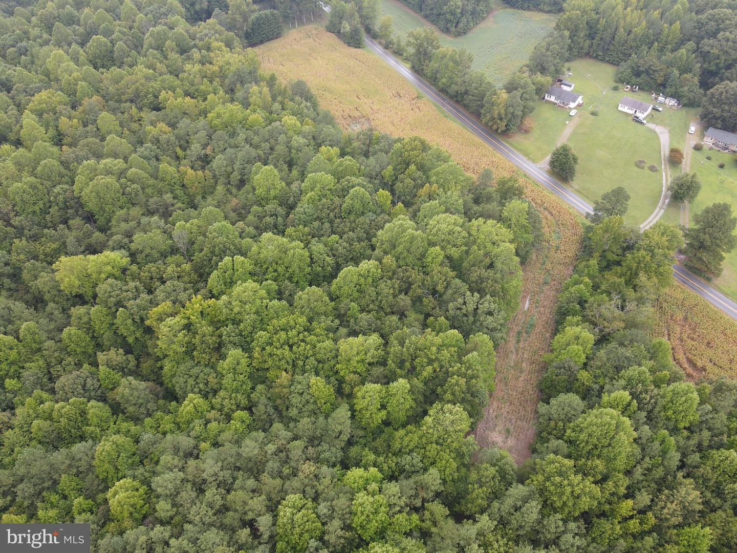 SPARTA RD, MILFORD, Virginia 22514, ,Land,For sale,SPARTA RD,VACV2006442 MLS # VACV2006442