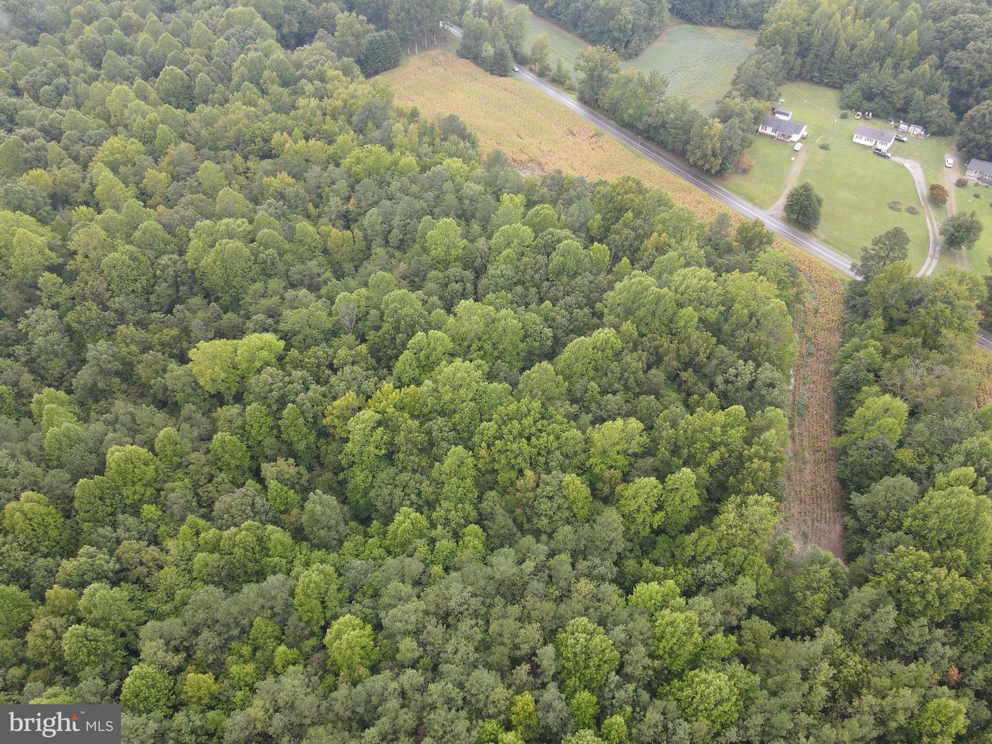 SPARTA RD, MILFORD, Virginia 22514, ,Land,For sale,SPARTA RD,VACV2006442 MLS # VACV2006442