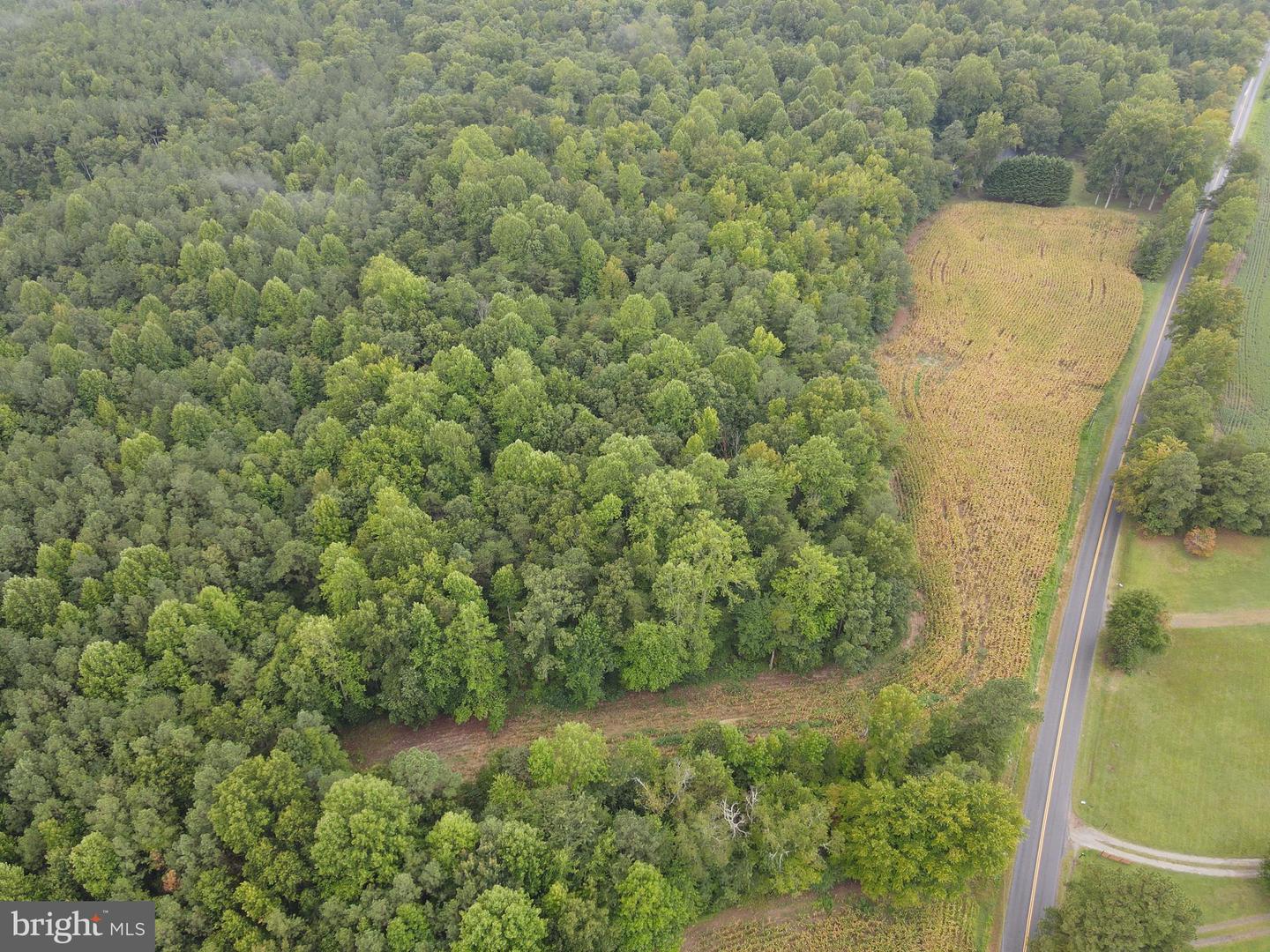 SPARTA RD, MILFORD, Virginia 22514, ,Land,For sale,SPARTA RD,VACV2006442 MLS # VACV2006442