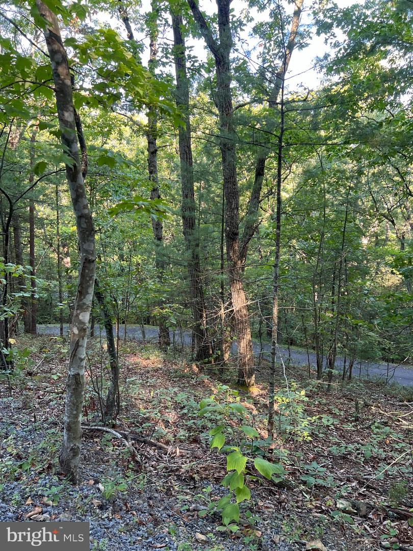 0 DAWN, BASYE, Virginia 22810, ,Land,For sale,0 DAWN,VASH2009448 MLS # VASH2009448