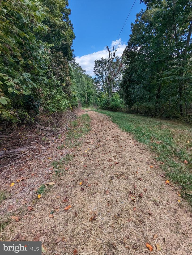 19802 OLD BLUERIDGE RD, BLUEMONT, Virginia 20135, ,Land,For sale,19802 OLD BLUERIDGE RD,VALO2057994 MLS # VALO2057994