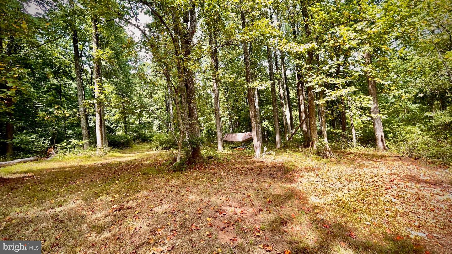 19802 OLD BLUERIDGE RD, BLUEMONT, Virginia 20135, ,Land,For sale,19802 OLD BLUERIDGE RD,VALO2057994 MLS # VALO2057994