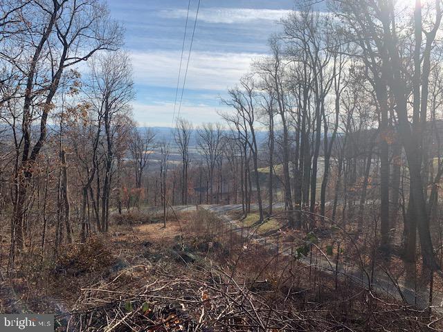 19802 OLD BLUERIDGE RD, BLUEMONT, Virginia 20135, ,Land,For sale,19802 OLD BLUERIDGE RD,VALO2057994 MLS # VALO2057994