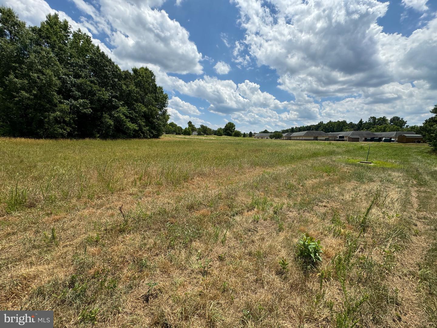 0 VIRGINIA HIGHWAY #47, CHASE CITY, Virginia 23924, ,Land,For sale,0 VIRGINIA HIGHWAY #47,VAMB2000038 MLS # VAMB2000038