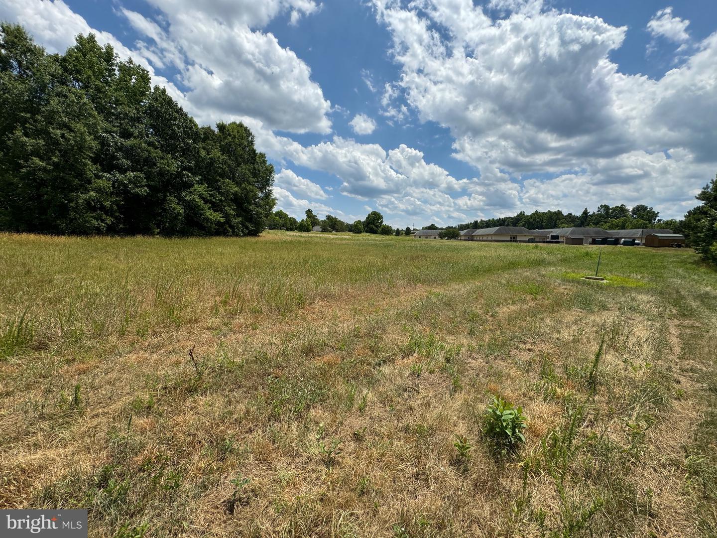 0 VIRGINIA HIGHWAY #47, CHASE CITY, Virginia 23924, ,Land,For sale,0 VIRGINIA HIGHWAY #47,VAMB2000038 MLS # VAMB2000038