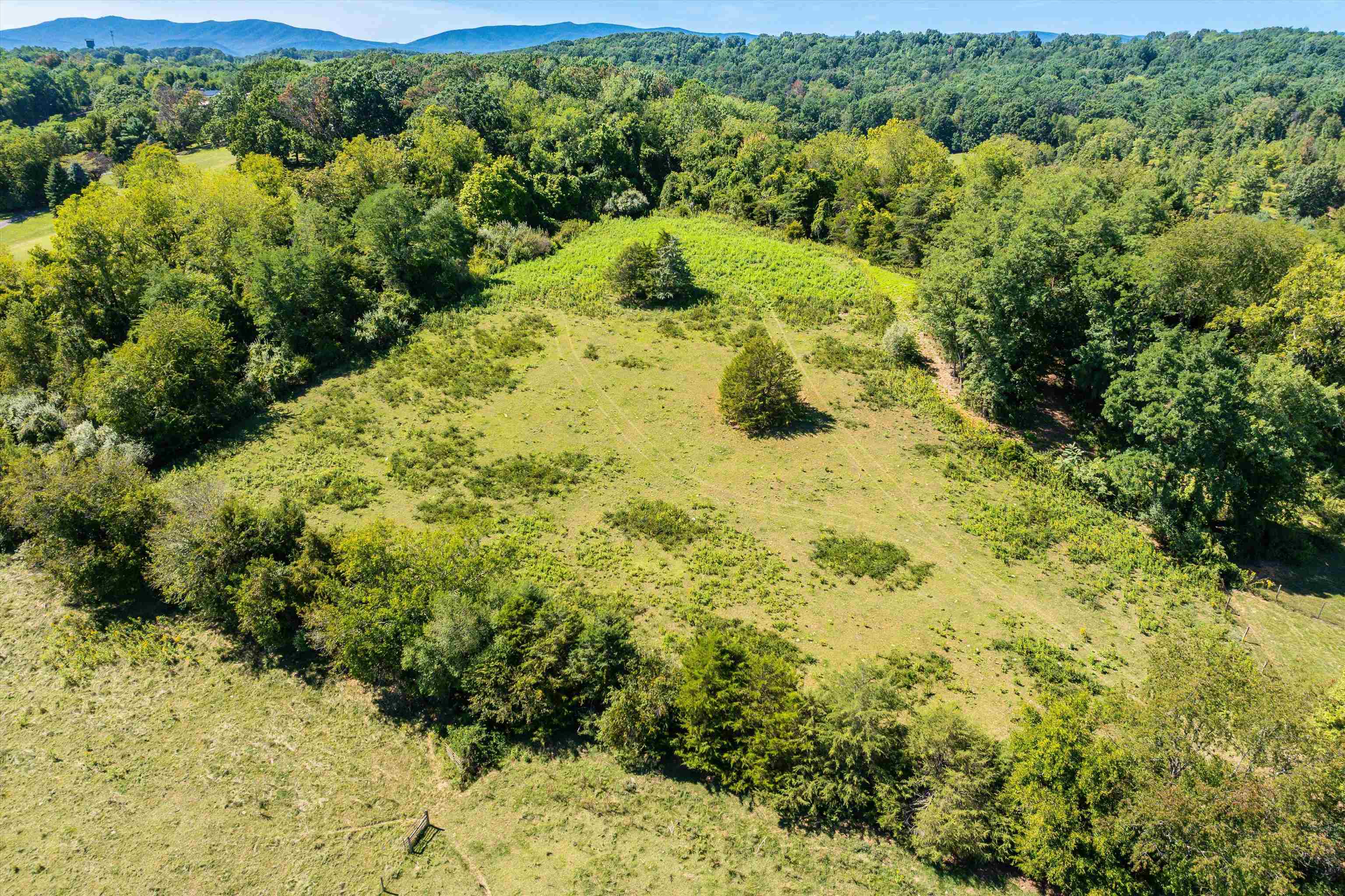 1926 SPRINGHILL RD, STAUNTON, Virginia 24401, 4 Bedrooms Bedrooms, ,2 BathroomsBathrooms,Residential,Bearwallow Farm, David Fultz House, c. 1845,1926 SPRINGHILL RD,656527 MLS # 656527