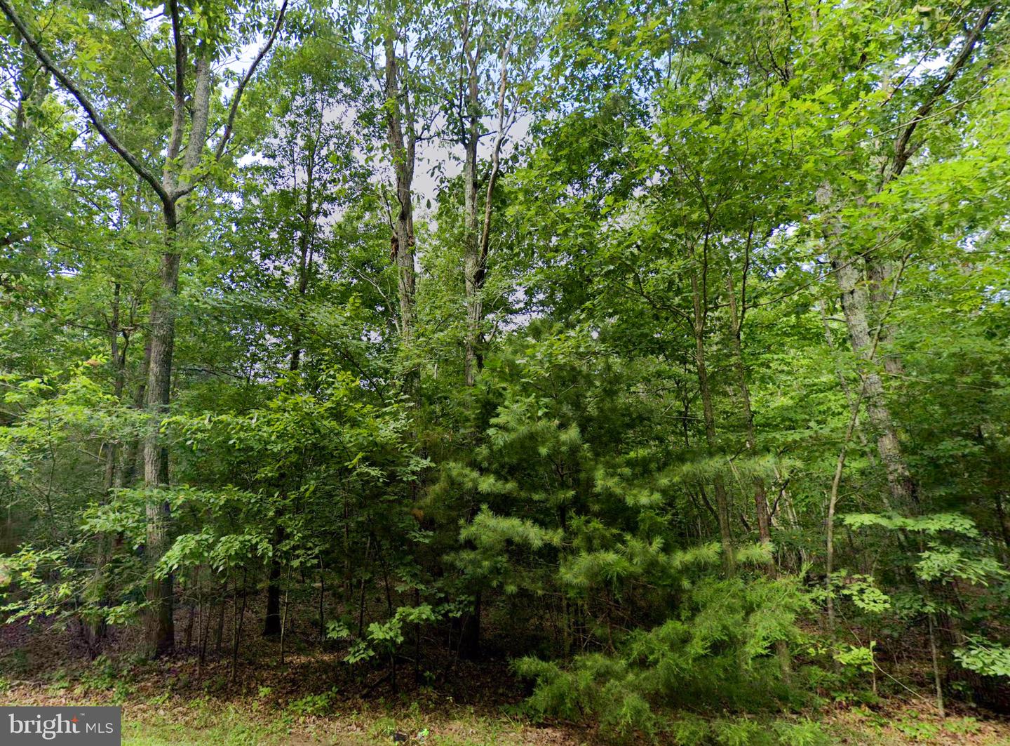 00 PANNELL LN, CULPEPER, Virginia 22701, ,Land,For sale,00 PANNELL LN,VAOR2007892 MLS # VAOR2007892