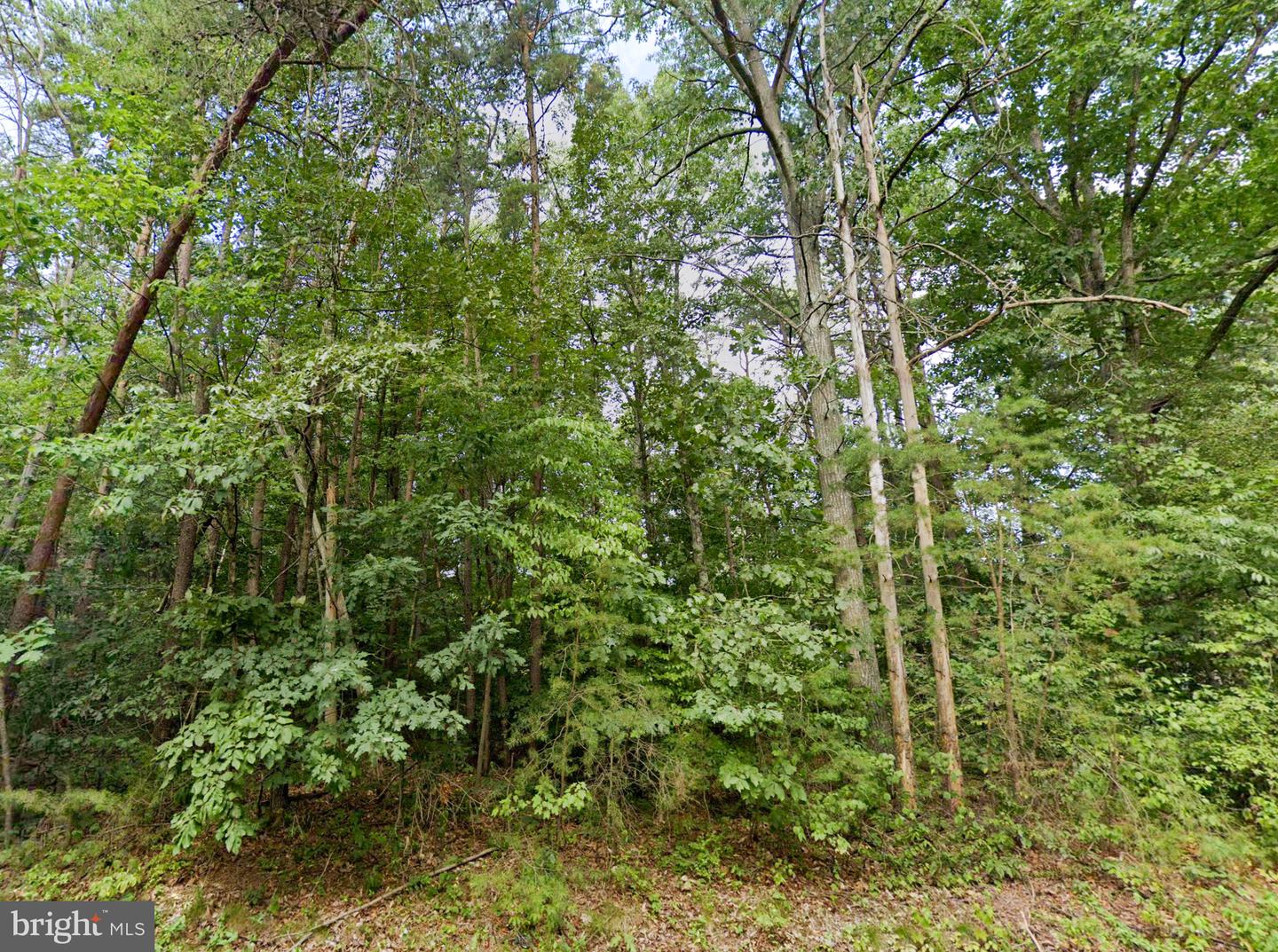 00 PANNELL LN, CULPEPER, Virginia 22701, ,Land,For sale,00 PANNELL LN,VAOR2007892 MLS # VAOR2007892