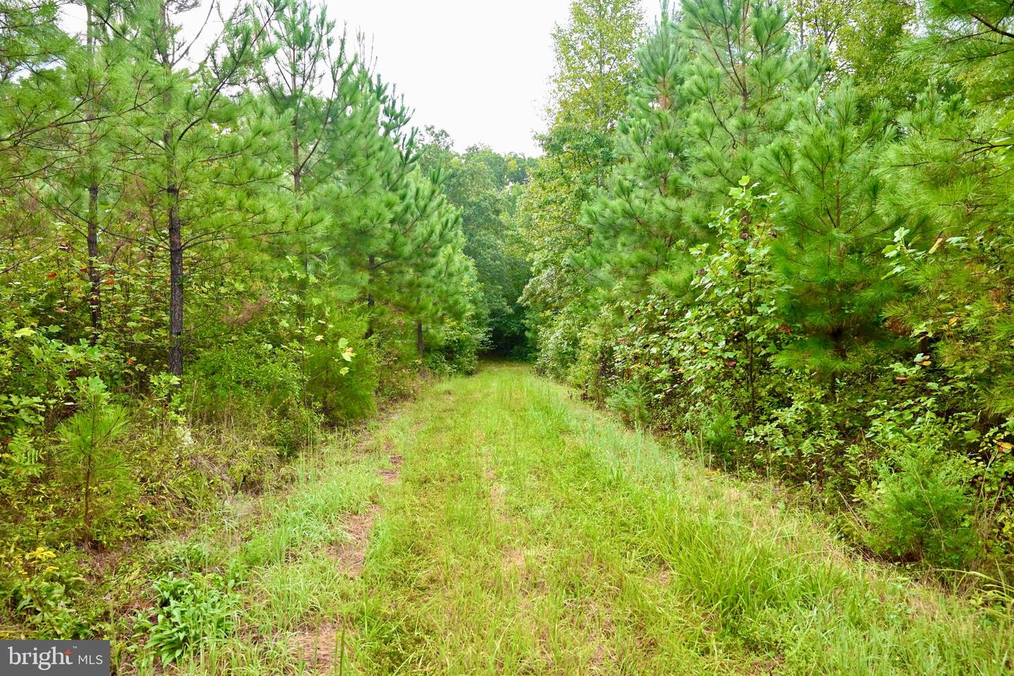 01 ANCIENT ACRES RD, BEAVERDAM, Virginia 23015, ,Farm,For sale,01 ANCIENT ACRES RD,VAHA2000822 MLS # VAHA2000822