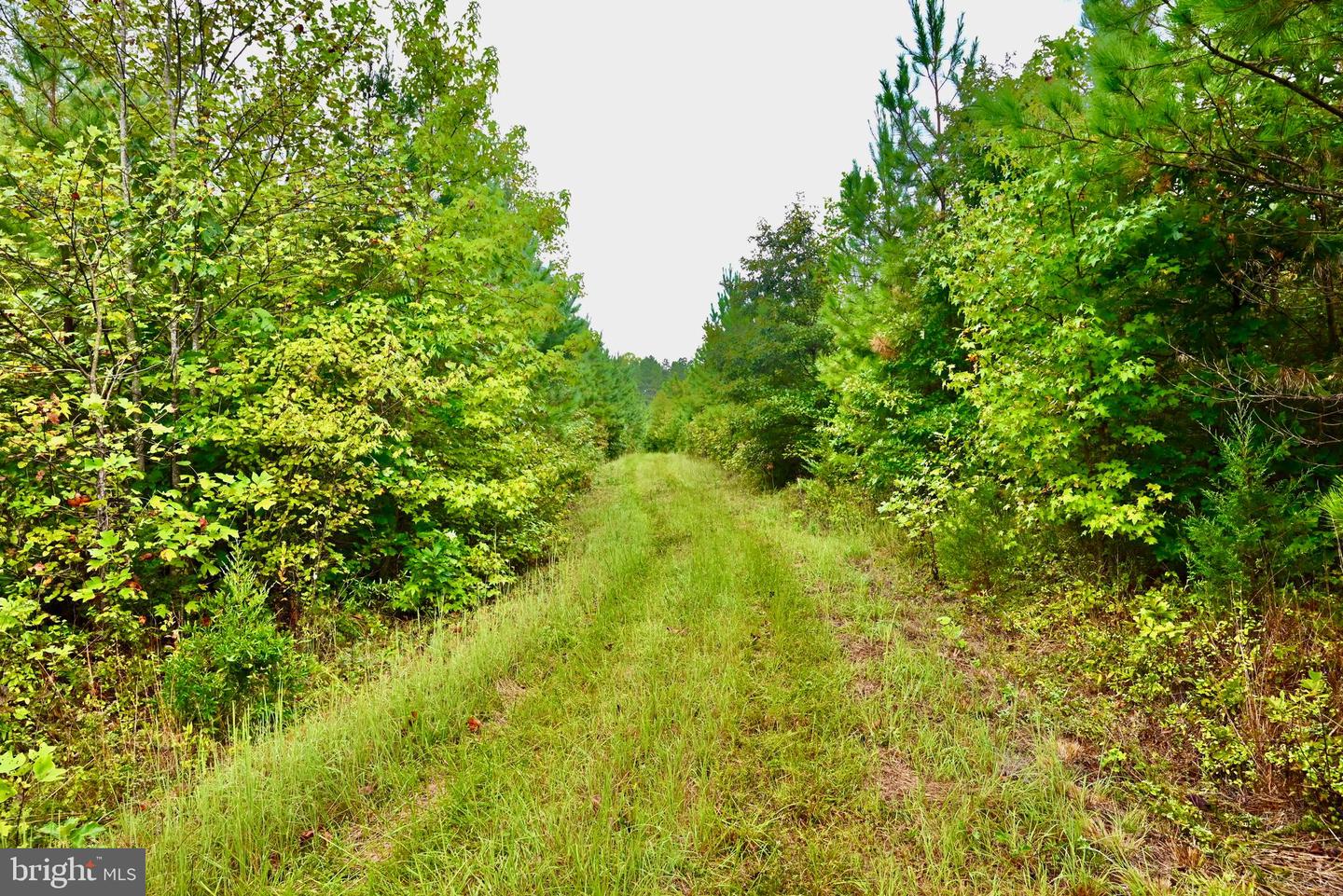 01 ANCIENT ACRES RD, BEAVERDAM, Virginia 23015, ,Farm,For sale,01 ANCIENT ACRES RD,VAHA2000822 MLS # VAHA2000822