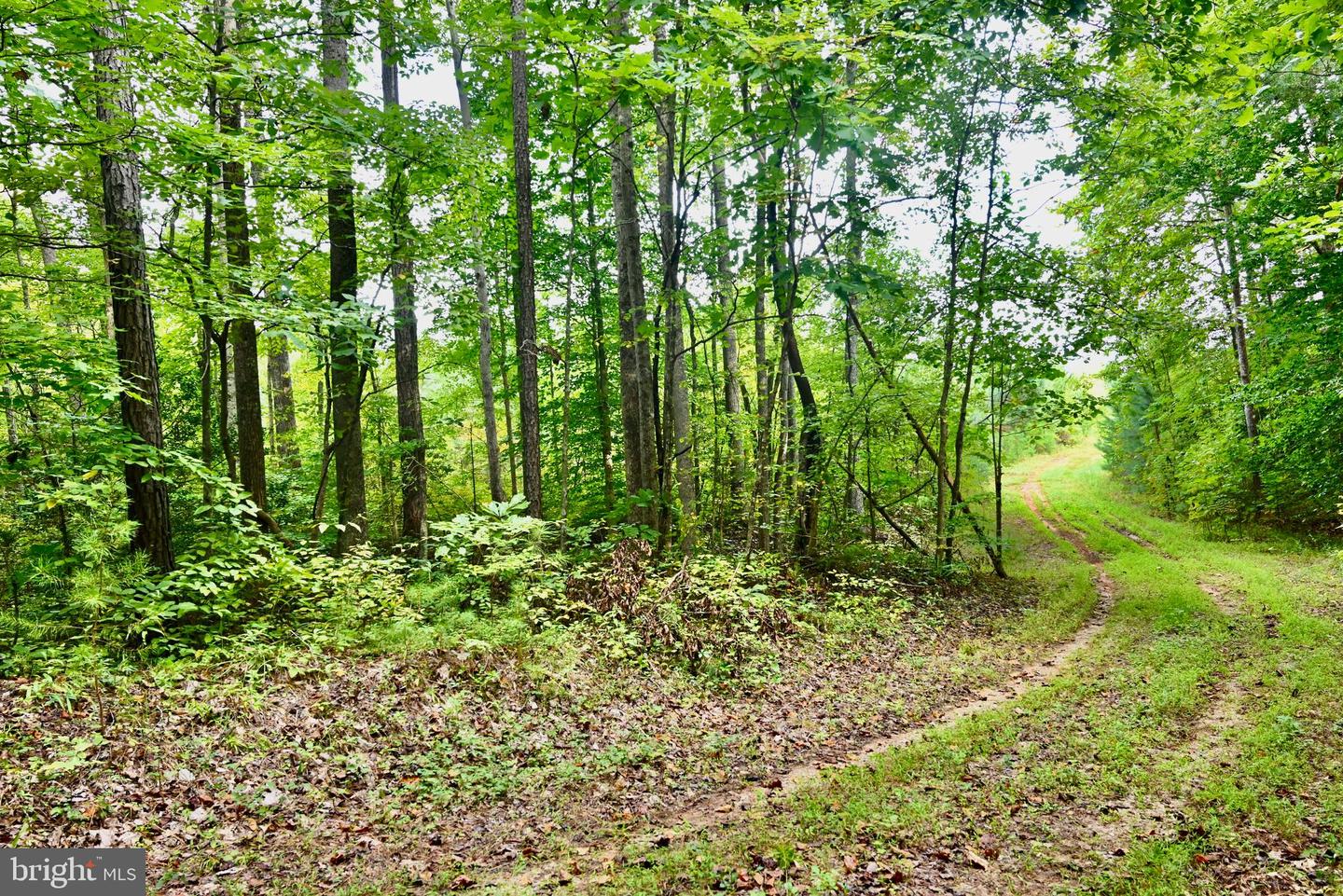 01 ANCIENT ACRES RD, BEAVERDAM, Virginia 23015, ,Farm,For sale,01 ANCIENT ACRES RD,VAHA2000822 MLS # VAHA2000822