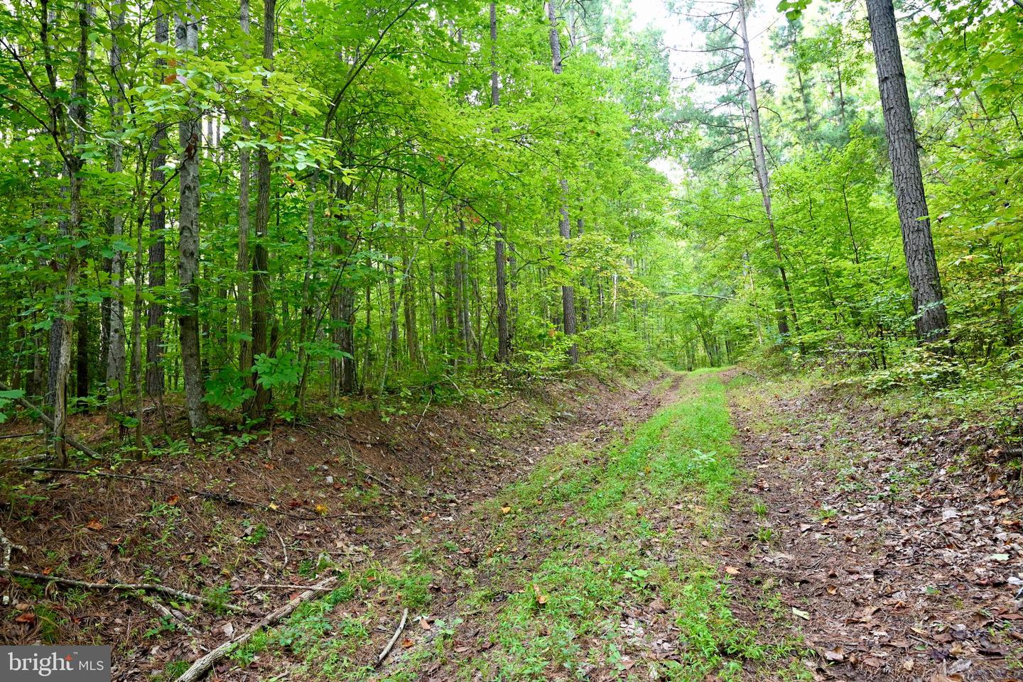 01 ANCIENT ACRES RD, BEAVERDAM, Virginia 23015, ,Farm,For sale,01 ANCIENT ACRES RD,VAHA2000822 MLS # VAHA2000822