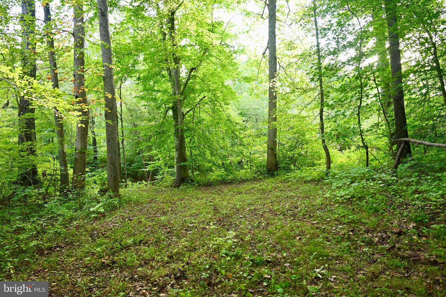 01 ANCIENT ACRES RD, BEAVERDAM, Virginia 23015, ,Farm,For sale,01 ANCIENT ACRES RD,VAHA2000822 MLS # VAHA2000822