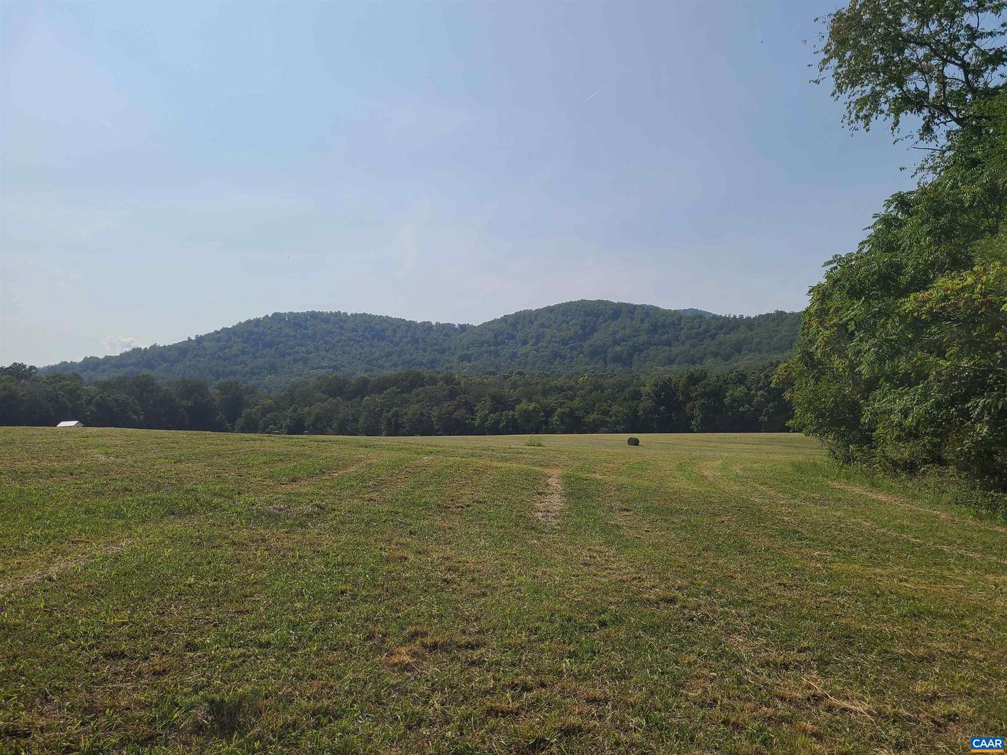 3 HEARDS MOUNTAIN RD, COVESVILLE, Virginia 22931, ,Land,For sale,3 HEARDS MOUNTAIN RD,656547 MLS # 656547