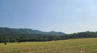 3 HEARDS MOUNTAIN RD, COVESVILLE, Virginia 22931, ,Land,For sale,3 HEARDS MOUNTAIN RD,656547 MLS # 656547