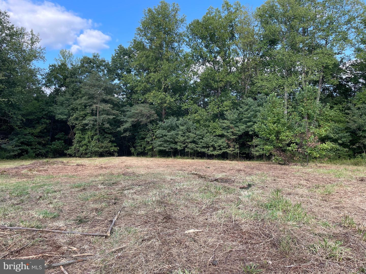 17464 EXECUTIVE LN, CULPEPER, Virginia 22701, ,Land,For sale,17464 EXECUTIVE LN,VACU2008782 MLS # VACU2008782