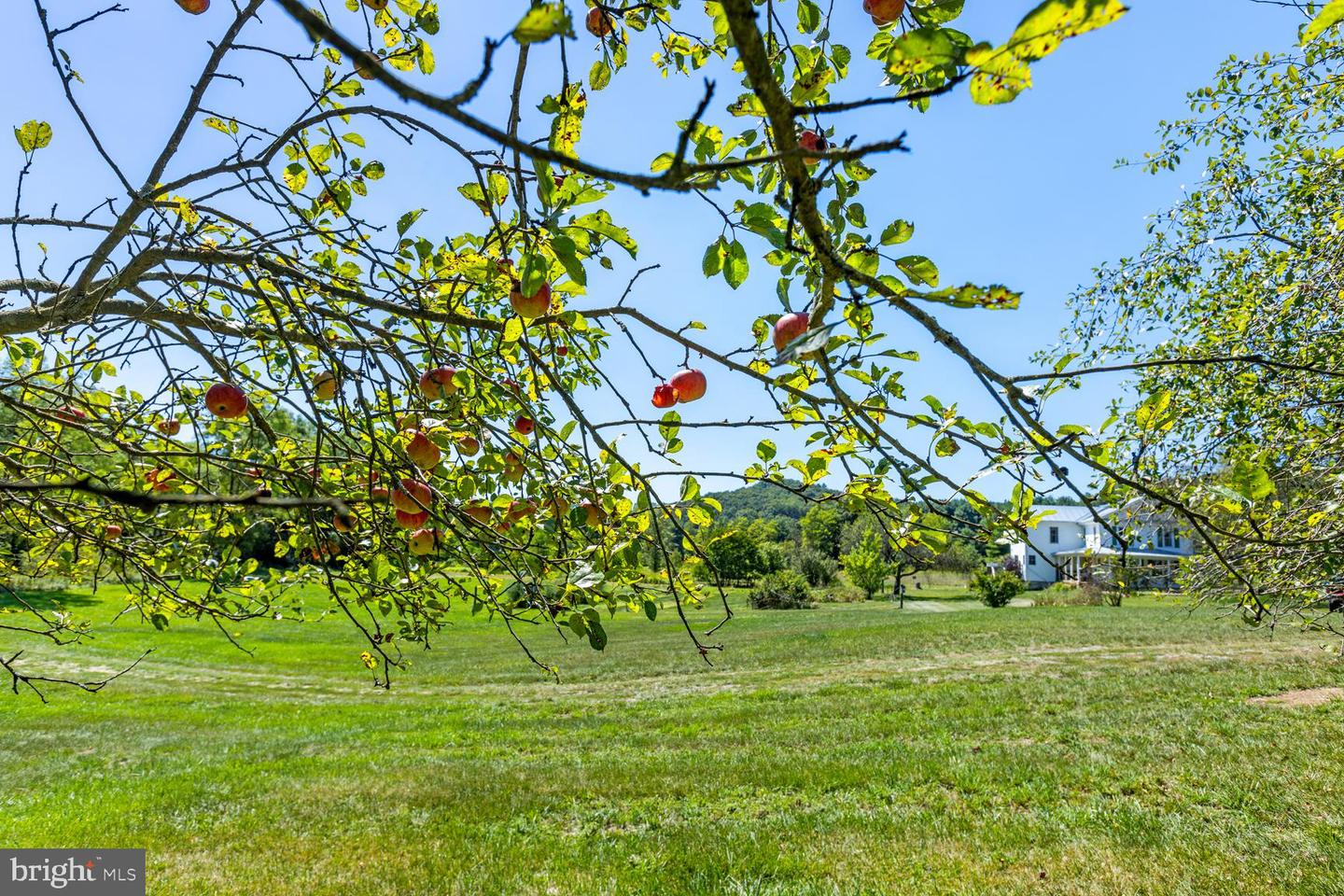 10014 SENEDO RD, MOUNT JACKSON, Virginia 22842, 3 Bedrooms Bedrooms, ,2 BathroomsBathrooms,Farm,For sale,10014 SENEDO RD,VASH2009488 MLS # VASH2009488