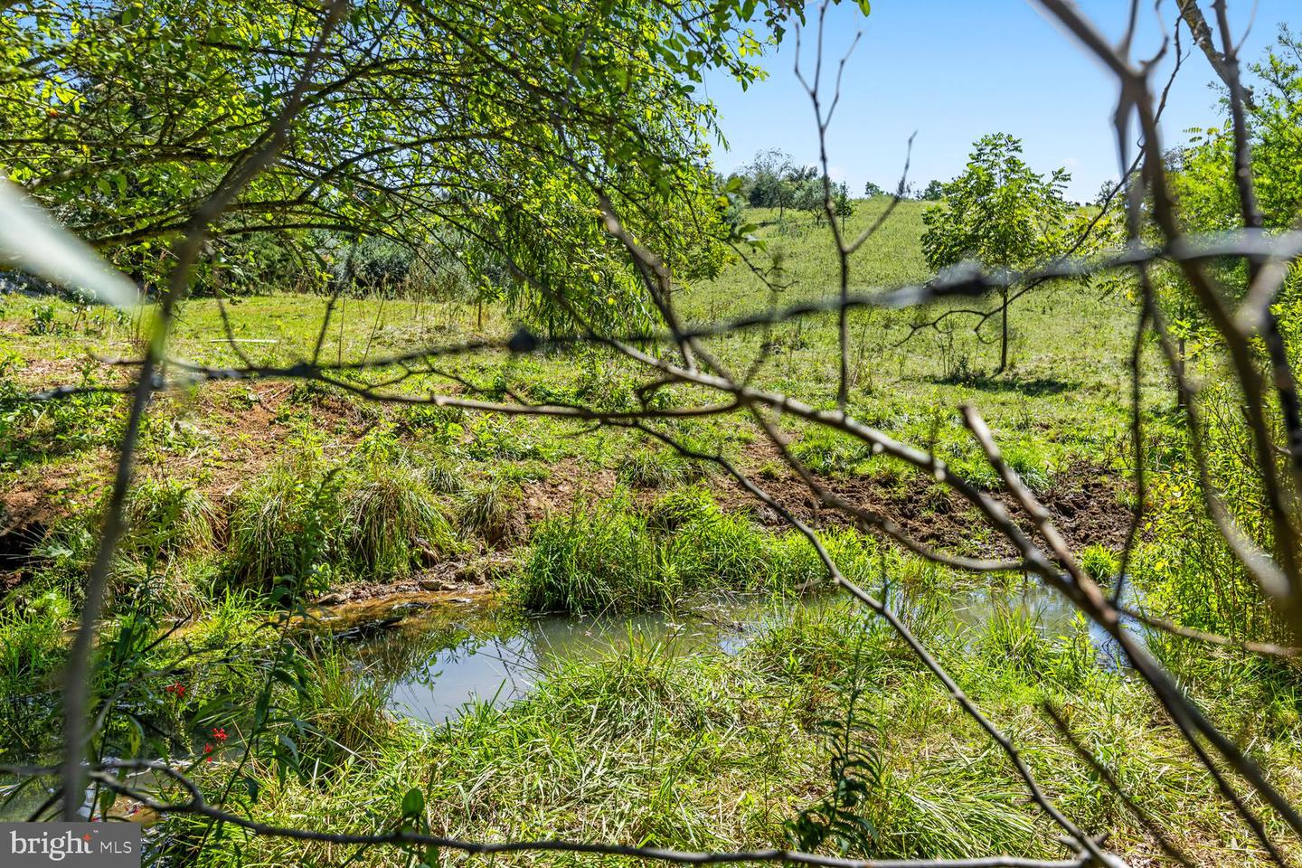 10014 SENEDO RD, MOUNT JACKSON, Virginia 22842, 3 Bedrooms Bedrooms, ,2 BathroomsBathrooms,Farm,For sale,10014 SENEDO RD,VASH2009488 MLS # VASH2009488