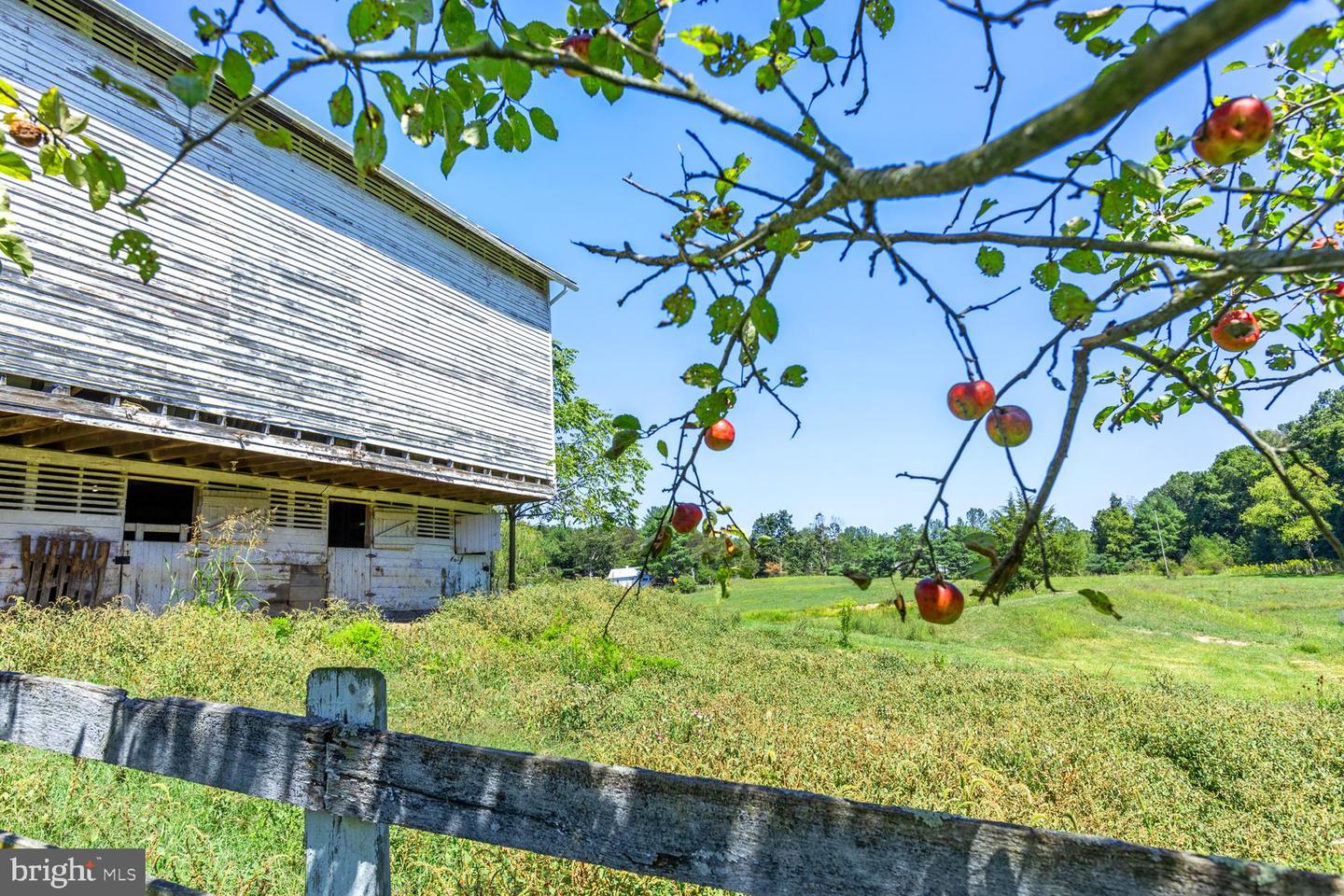 10014 SENEDO RD, MOUNT JACKSON, Virginia 22842, 3 Bedrooms Bedrooms, ,2 BathroomsBathrooms,Farm,For sale,10014 SENEDO RD,VASH2009488 MLS # VASH2009488