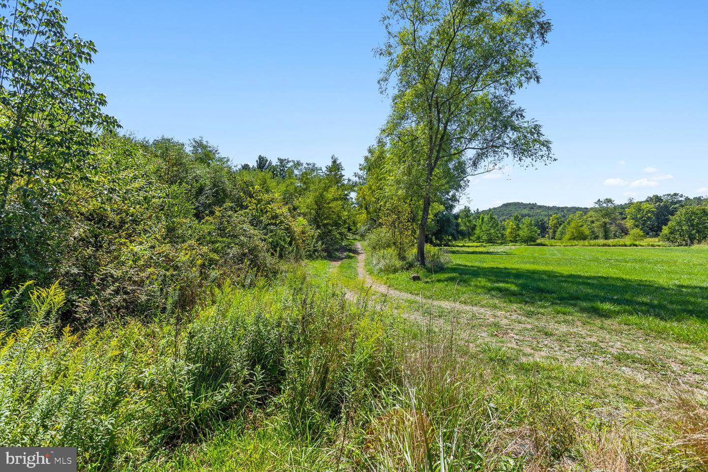 10014 SENEDO RD, MOUNT JACKSON, Virginia 22842, 3 Bedrooms Bedrooms, ,2 BathroomsBathrooms,Farm,For sale,10014 SENEDO RD,VASH2009488 MLS # VASH2009488