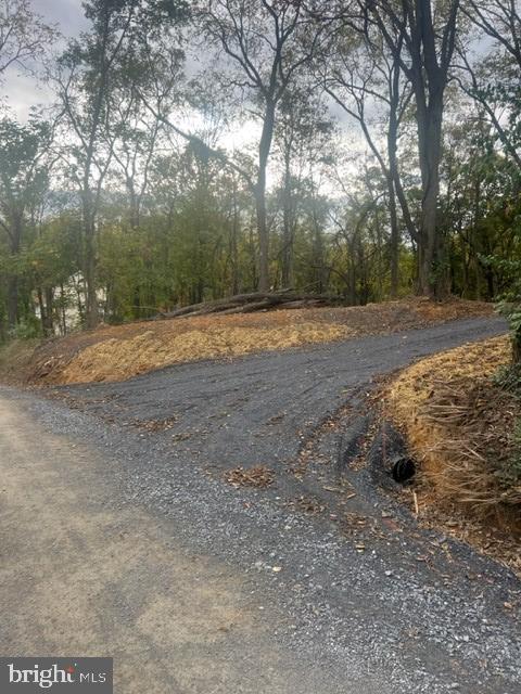 CASTLEMAN RD, BERRYVILLE, Virginia 22611, ,Land,For sale,CASTLEMAN RD,VACL2002306 MLS # VACL2002306