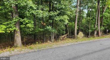 109 SYCAMORE, CROSS JUNCTION, Virginia 22625, ,Land,For sale,109 SYCAMORE,VAFV2021402 MLS # VAFV2021402