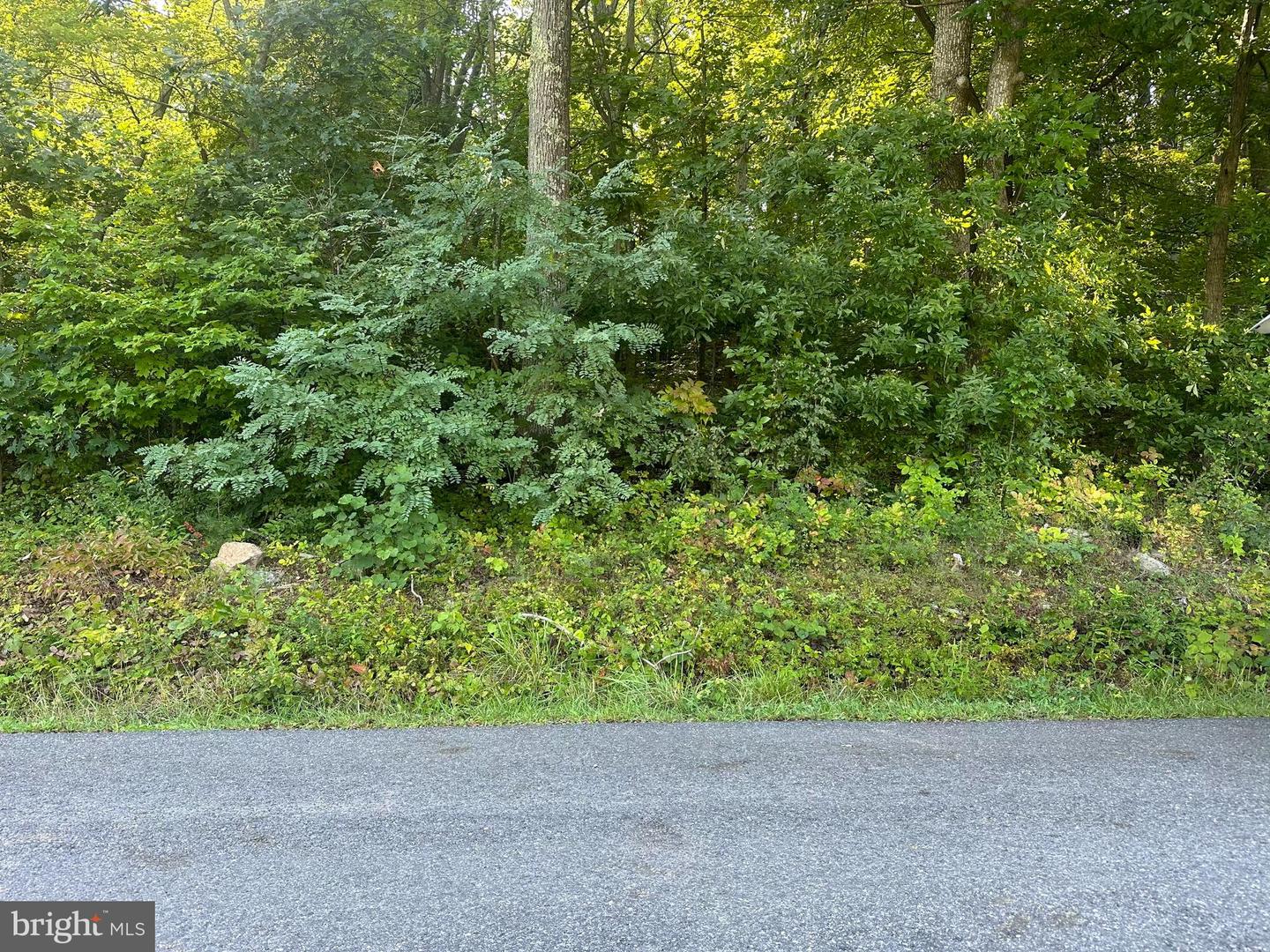 LOT 144 RAPPAHANNOCK, WINCHESTER, Virginia 22602, ,Land,For sale,LOT 144 RAPPAHANNOCK,VAFV2021450 MLS # VAFV2021450