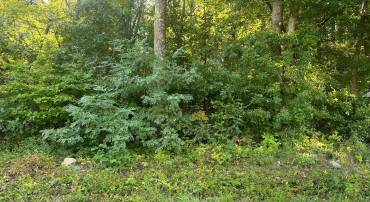 LOT 144 RAPPAHANNOCK, WINCHESTER, Virginia 22602, ,Land,For sale,LOT 144 RAPPAHANNOCK,VAFV2021450 MLS # VAFV2021450