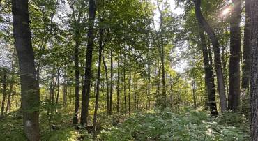 LOT 10 POWHATAN TRL, WINCHESTER, Virginia 22602, ,Land,For sale,LOT 10 POWHATAN TRL,VAFV2021454 MLS # VAFV2021454