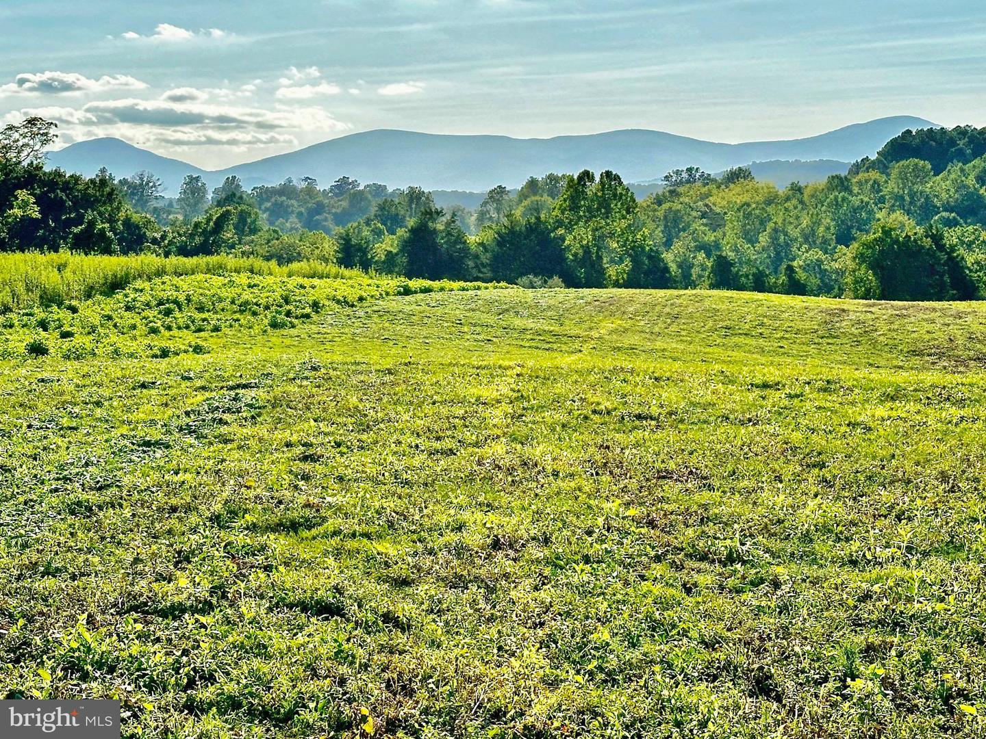 PASTURE LANE, MARSHALL, Virginia 20115, ,Farm,For sale,PASTURE LANE,VAFQ2013816 MLS # VAFQ2013816