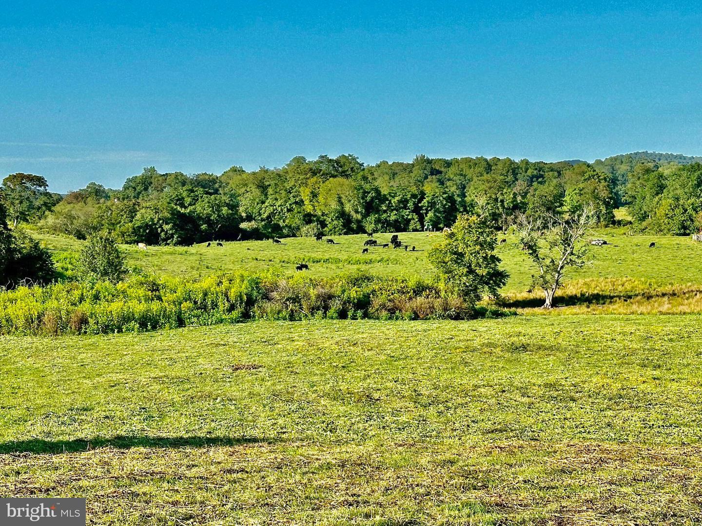 PASTURE LANE, MARSHALL, Virginia 20115, ,Farm,For sale,PASTURE LANE,VAFQ2013816 MLS # VAFQ2013816